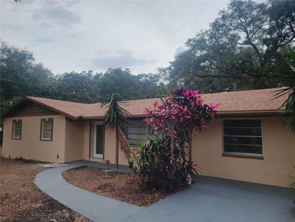 7420 E Chelsea Street, Tampa