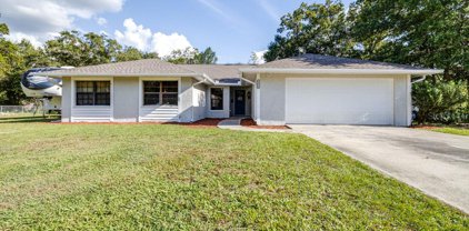 18619 San Rio Cir, Lutz