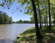100 County Road 785 Sw, Cedar Bluff image