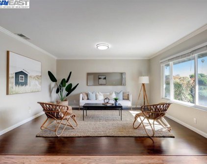 3259 San Carvante Way, Union City