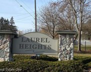 730 NATALIA, Davison image