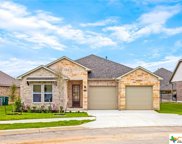 116 Cheslyn, Boerne image