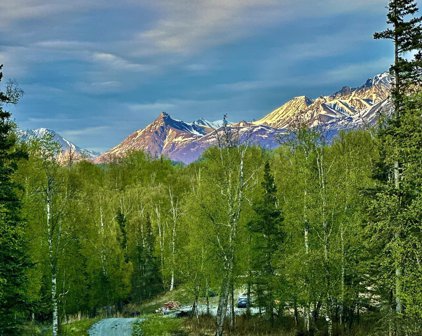 10905 N Glenn Highway, Palmer