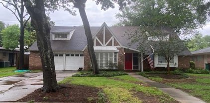 12838 Butterfly Lane, Houston