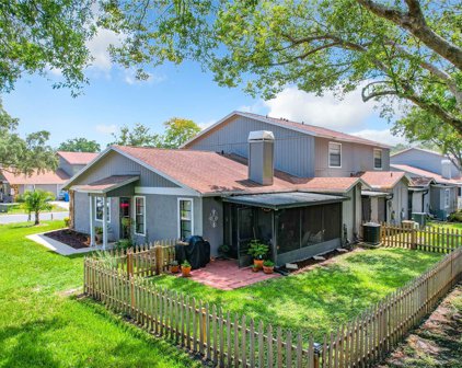 10037 Lake Oak Circle, Tampa