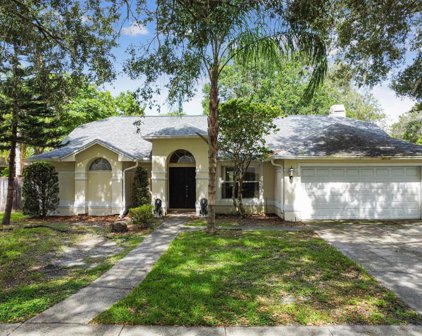 15109 Craggy Cliff Street, Tampa