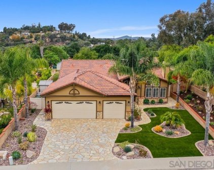 14420     Silver Heights Road, Poway