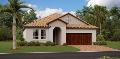 17209 Sparrow Case Street, Wimauma