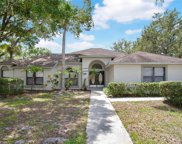 4514 Swift Circle, Valrico image