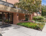 3 Southerly Ct Unit #201, Towson image
