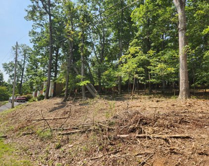 Lot 7 Pin Oak  Dr, Blue Ridge