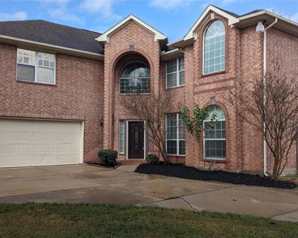 14902 Stonelick  Bridge Ln, Sugar Land