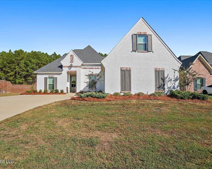 201 Duchess Court, Flowood