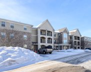 15550 Linnet Street NW Unit #1-111, Andover image