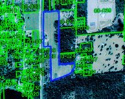 5505 N Orange Blossom Trail, Mount Dora image