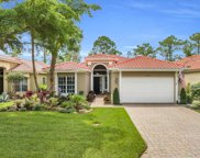 28641 Pienza Court, Bonita Springs image