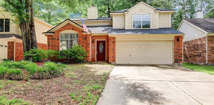 4330 Mountain Peak Way, Kingwood