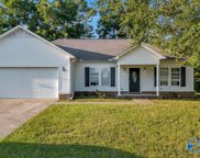 223 Karl Prince Drive Sw, Hartselle image