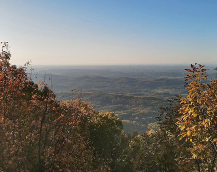 Chilhowee Tr, Maryville