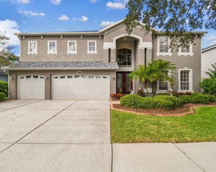 5925 Browder Rd, Tampa