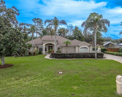 498 N Pine Meadow Drive, Debary
