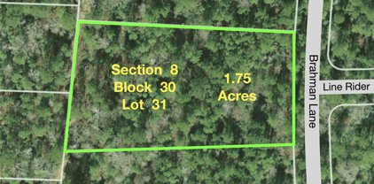 8-30-31 Brahman Lane, New Waverly