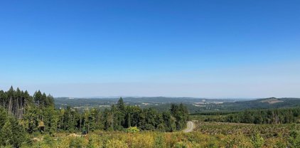 Valsetz Rd, Falls City
