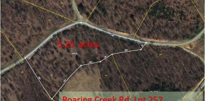 Roaring Creek 252, Dunlap
