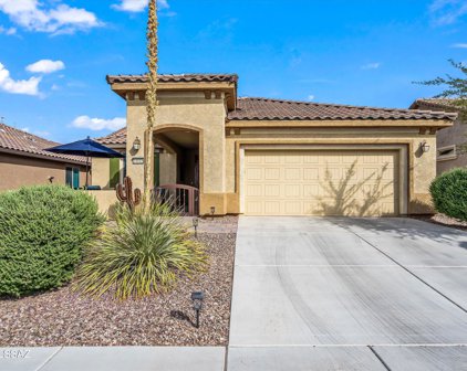 14045 N Del Webb, Marana
