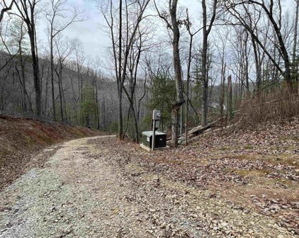 1335 Timber Bluff Road, Clayton