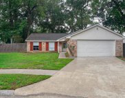 23906 Conefall Court, Spring image