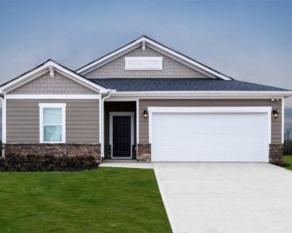 107 Lavinia, Lyman