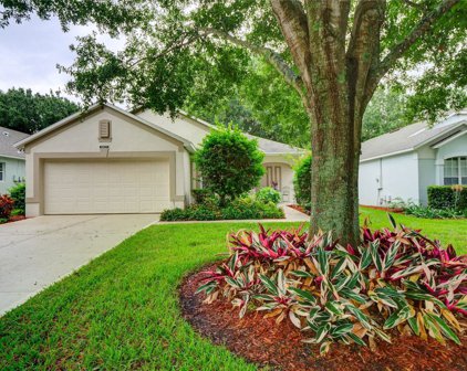 3805 Doune Way, Clermont