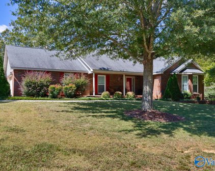 259 Ariel Drive, Harvest
