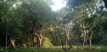 COUNTY ROAD 728C, Sweeny