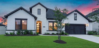 10082 S Goshawk Trail, Conroe