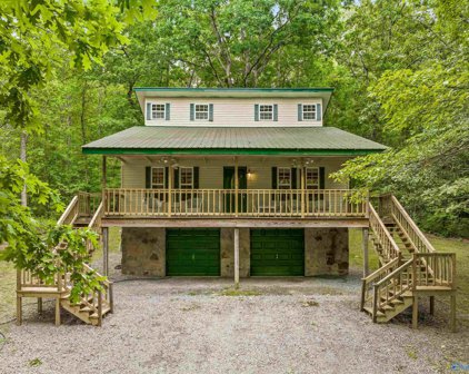 1068 County Road 153, Fort Payne