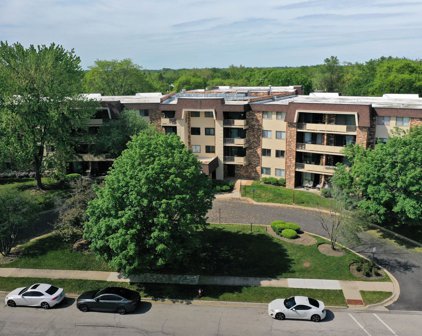 3350 N Carriageway Drive Unit #310, Arlington Heights
