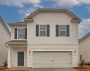 461 Griffon Drive, Chapin image