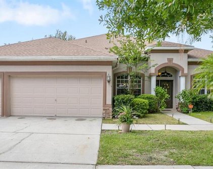 11767 Summer Springs Drive, Riverview