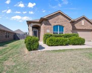 11716 Fallow Deer  Court, Fort Worth image