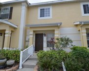 8553 Trail Wind Drive, Tampa image