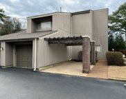 739 Forest Lake Dr Unit #3701, Memphis image