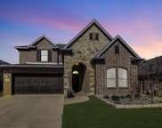 8241 Whistling Duck  Drive, Fort Worth image