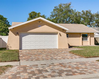 3323 Carriage Drive, Palm Harbor