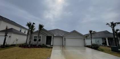 3067 Cold Leaf Way, Green Cove Springs
