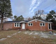 11045 Two Notch Rd, Elgin image