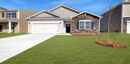 830 Honeybush Drive, Lyman