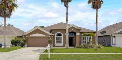 805 Bayou View Drive, Brandon