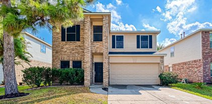 2518 Knoll Shadows Lane, Katy